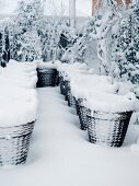 Snowbound baskets in garden