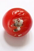 A mouldy tomato seen from above