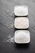 Three types of salt (fleur de sel, Himalayan salt, sea salt) in bowls