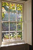 Classic, English sash window with wooden interior shutters