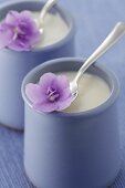 Yoghurt with purple flowers