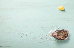 Auster, Meersalz und Zitronenstück auf Holzuntergrund