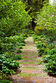 Garden path with terracotta paving