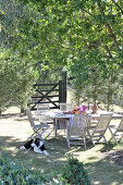 Sunny seating area in garden with wooden table and chairs