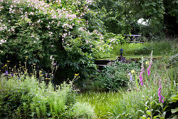 Naturnaher Garten im Sommer