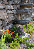 Sommerblumen am Steinmauer mit Holzstufen