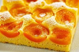 An apricot cake dusted with icing sugar