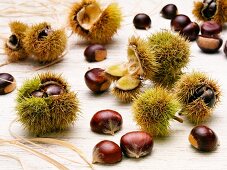 Sweet chestnuts, with and without prickly case