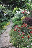 Blühende Pflanzen am Steinweg entlang im Garten