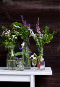 Blühende Kräuter aus dem Garten in Gläsern und Flaschen vor dunkler Holzwand