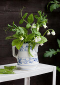Flowering pea shoots and red-veined sorrel in old china jug