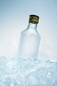 Schnapps bottle in ice