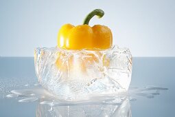 Yellow pepper in a block of ice