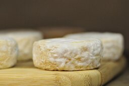 Pelardon Languedoc-Roussillon (French goat's cheese)