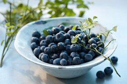 A bowl of blueberries with twigs