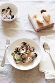 Clams in a white wine sauce