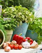 Frische Kräuter und Sommergemüse auf Gartentisch
