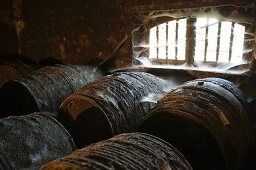 Old Cognca barrels (Domaine Grollet, France)