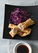 Spring rolls with a red cabbage and sesame seed salad