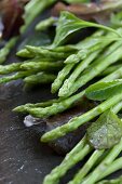 Green Thai asparagus and lettuce