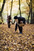 Two women collect mushrooms in an autumnal forest