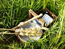 Stockbrot zum Picknick