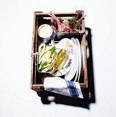Picknickkiste fürs Grillen: Lammkoteletts, roher Fenchel, Marinade