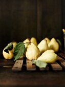 Quinces with leaves