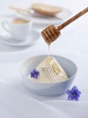 Cream cheese with honey and flowers