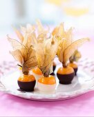 Physalis in chocolate