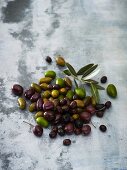 Green and black olives with leaves