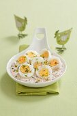 Hard boiled eggs in horseradish mayonnaise with turnips, dill and bean sprouts