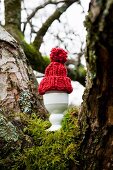 Egg with bobble hat in eggcup on moss