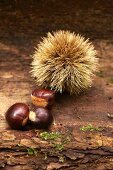 Chestnuts with and without the spiny shell