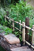 Bed of bamboo behind stone border and bamboo fence tied with twine