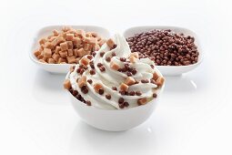 Frozen yogurt topped with caramel and chocolate toppings
