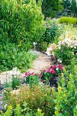 Narrow, winding gravel path between blooming perennials in a summer garden