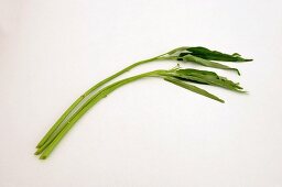 Water spinach on a white surface