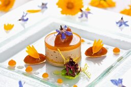 Goose liver terrine with apricots and almonds