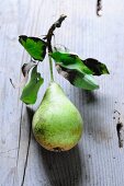 A Hochfeine Butterbirne pear with stem and leaves