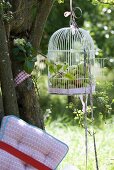 Apples in bird cage hanging from tree