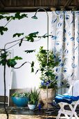 Mobile outdoor shower on terrace with potted plants and curtain with pattern of stylised shells in background
