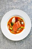 Salmon trout in an asparagus and tomato broth with butter dumplings