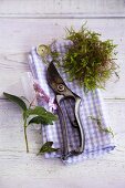 Stillleben aus Gartenschere, Blume und Moosbüschel auf kariertem Tuch