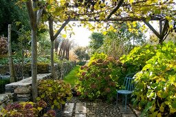 Stuhl in Ecke eines Terrassenplatzes unter berankter Pergola und Blick in mediterranen Garten