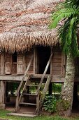 Treppe vor aufgeständerter Holzhütte mit Strohdach in tropischer Umgebung