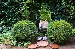 Zwei Buchsbaumkugeln und Wasserschalen auf Klinkerboden in einem Innenhof