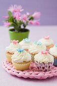 Cupcakes on a pink pot holder