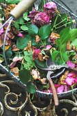 Faded flowers in basket