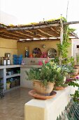 Potted herbs on balustrade of Mediterranean roof terrace with fitted kitchen counter along wall